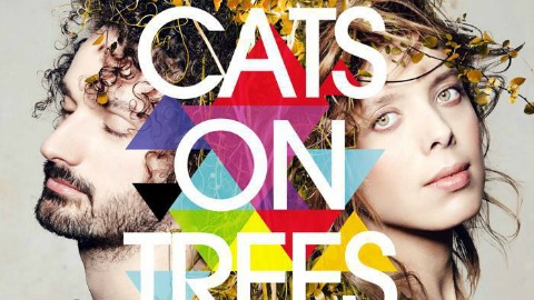 Cats on trees