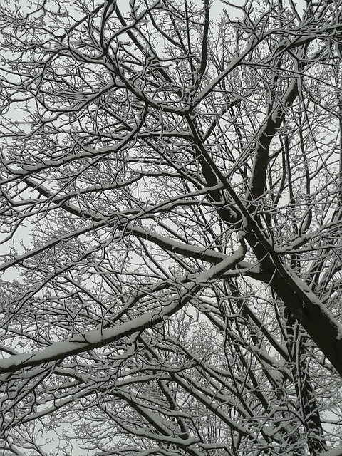 A priori pas de neige sur la plaine tarbaise ce week end.