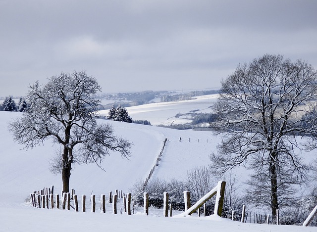 rp_winter-landscape-623606_640.jpg