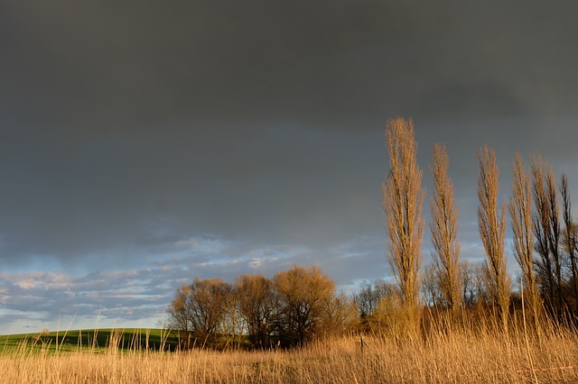 Les orages arrivent sur Toulouse