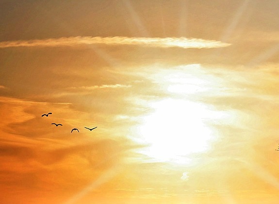 Météo Toulouse lundi de transition vers une météo d'été