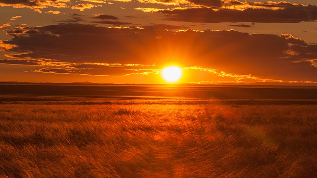 Tarn et Tarn et Garonne en alerte canicule vigilance orange