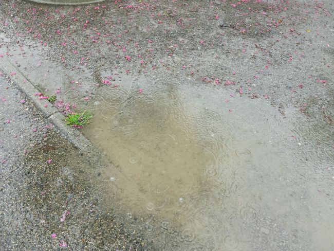 pluies inondations appel vigilance préfecture
