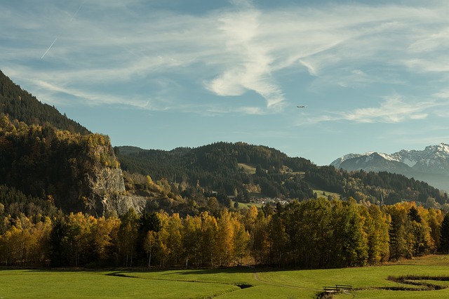 Météo France annonce des conditions idéales pour des ballades dans les belles forêts d'automne ces prochains jours Photo DP