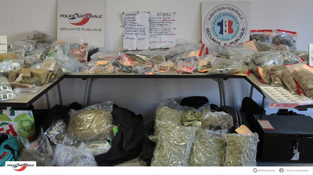 MARSEILLE-66-kg-de-cannabis-67-000-euros-et-un-millier-de-cartouches-d-armes-saisis_largeur_445
