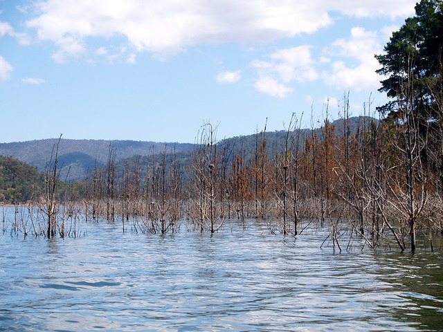e031b80b28f61c3e81584d04ee44408be273e7d218b0134192f1_640_Flood-2