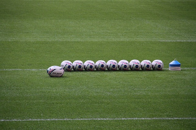 e837b00f20f7043ecd0b470de7444e90fe76e6d319b2174594f9c1_640_rugby