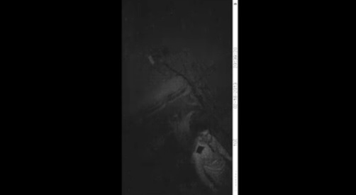 facebook gendarmerie vidéosurveillance appel témoin