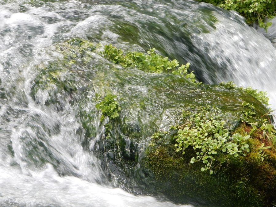 Un été plus chaud que la normale en France