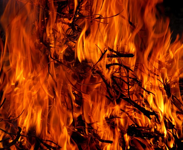 Tarn. Plus de 100 hectares brûlés dans un incendie sur les hauteurs de Mazamet 