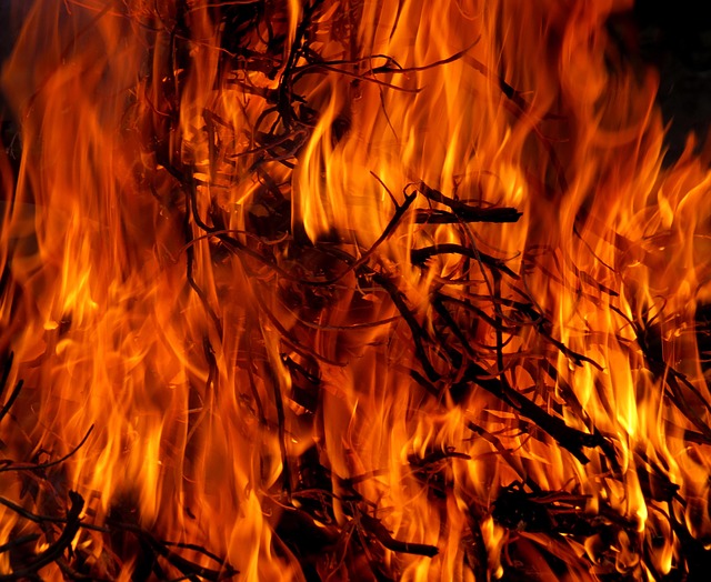 Tarn. Plus de 100 hectares brûlés dans un incendie sur les hauteurs de Mazamet