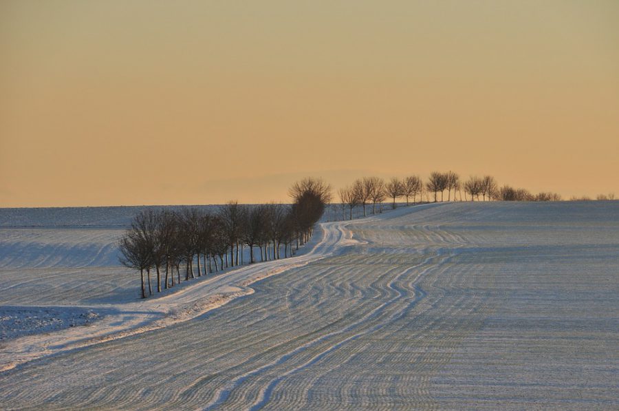 Neiges abondantes. Alerte m&eacute;t&eacute;o vigilance orange prolong&eacute;e sur 2 d&eacute;partemens