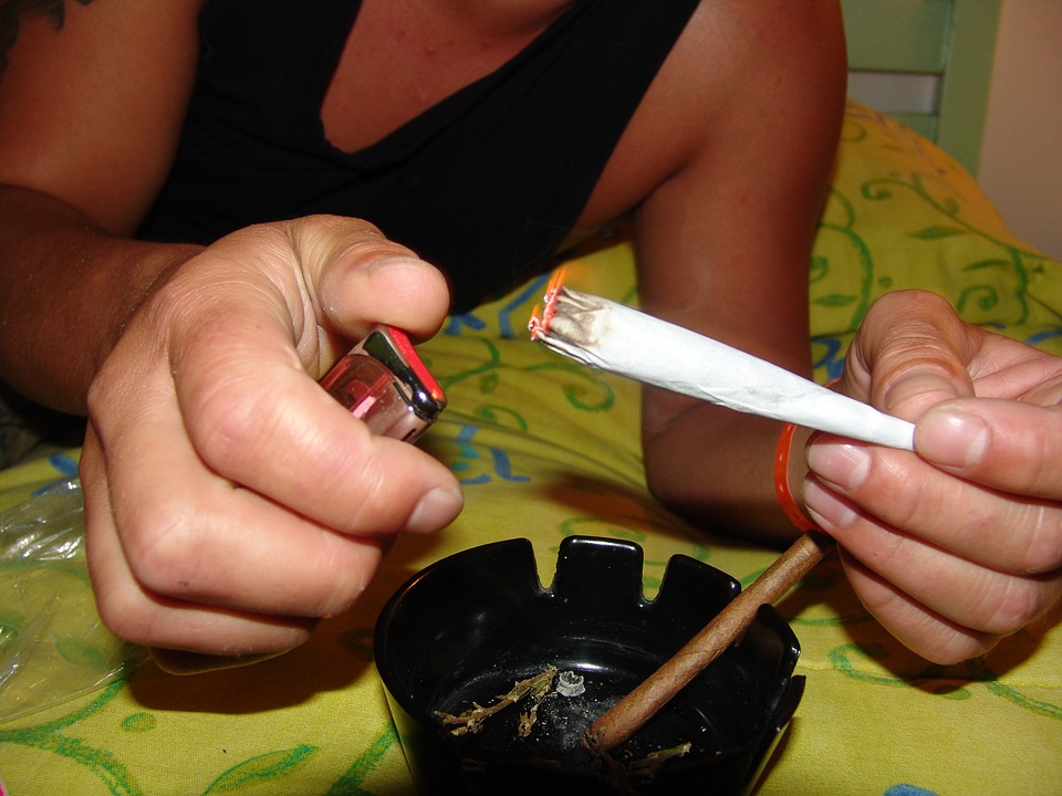 Nouvelle saisie de centaines de kilos de drogue à Toulouse Nouvelle saisie de centaines de kilos de drogue à Toulouse