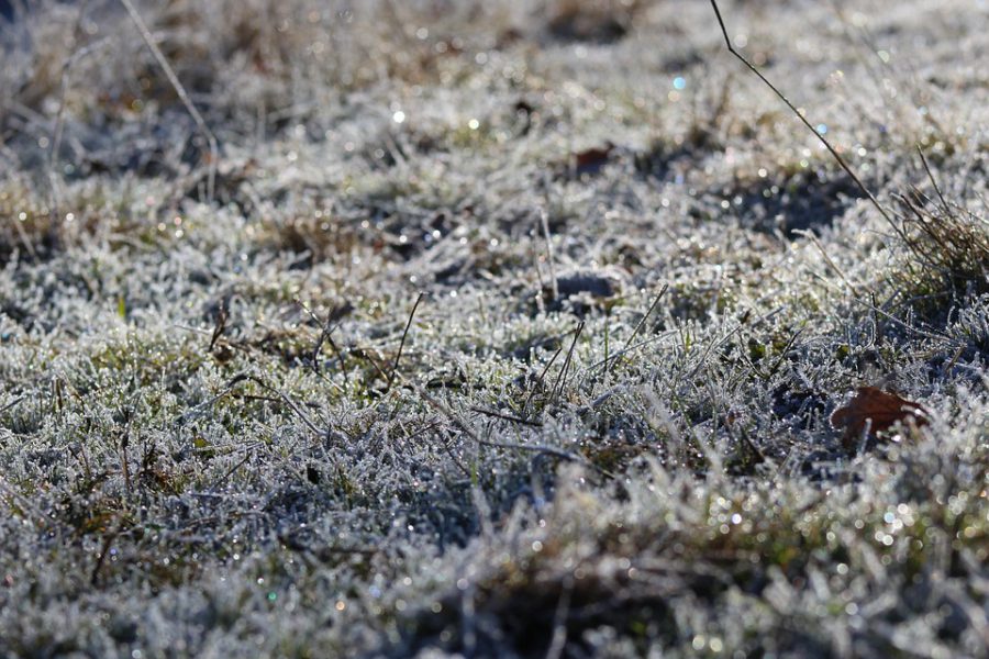 Les Saints de Glace arrivent jeudi 