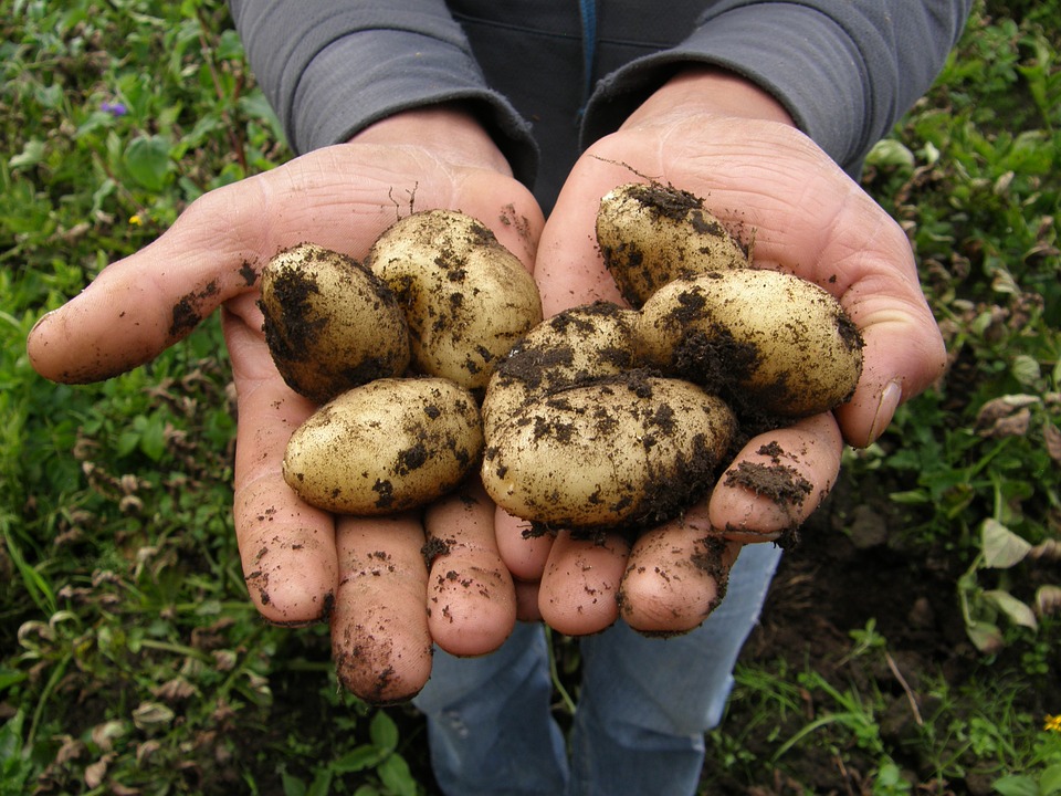 Le festival fermes d'avenir pour l'agroécologie de passage en Haute Garonne Le festival fermes d'avenir pour l'agroécologie de passage en Haute Garonne
