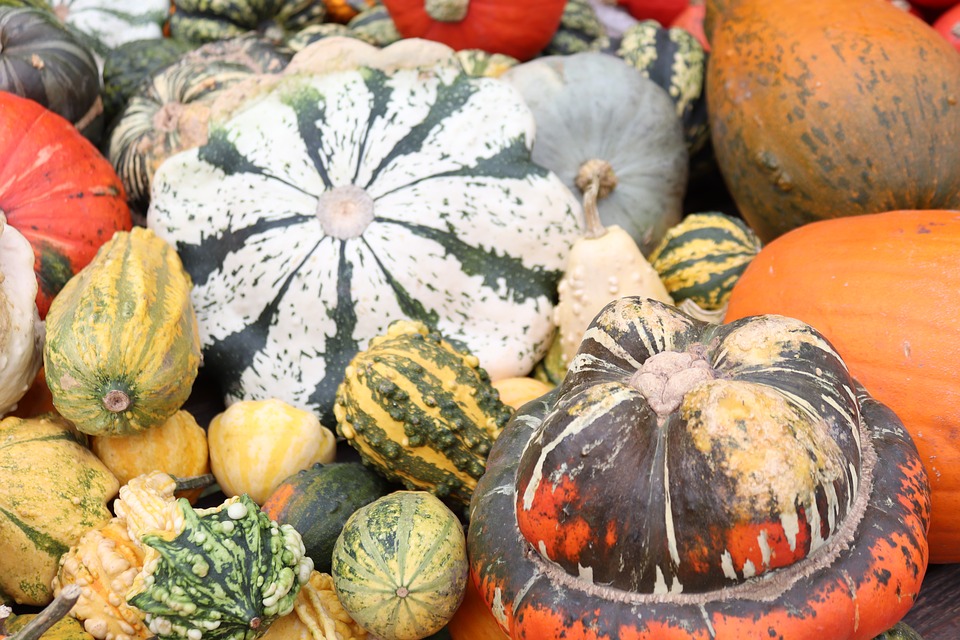 automne c'est aujourd'hui et jusqu'au 20 décembre automne c'est aujourd'hui et jusqu'au 20 décembre