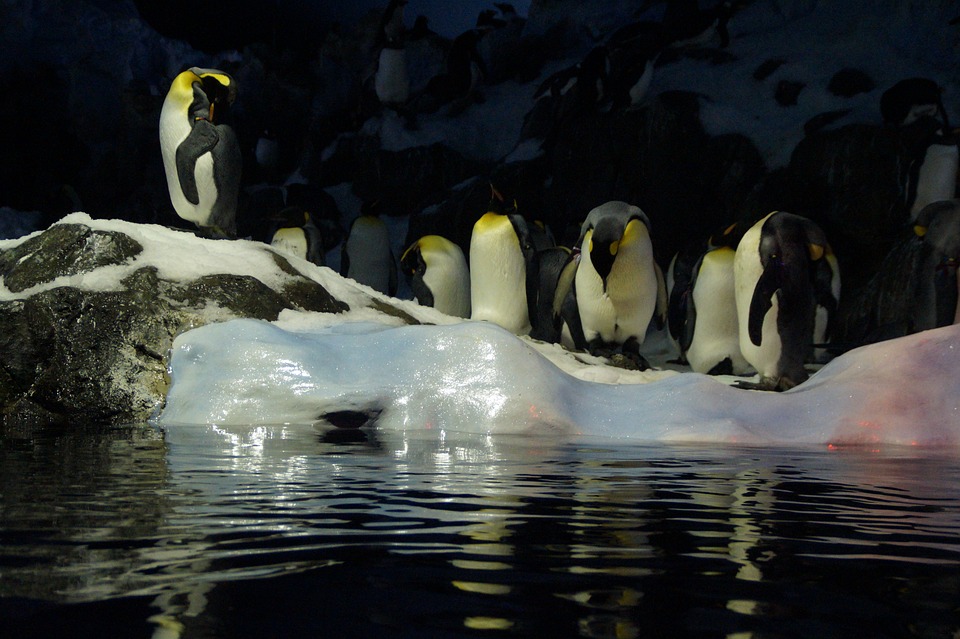 la banquise arctique à son plus bas historique la banquise arctique à son plus bas historique