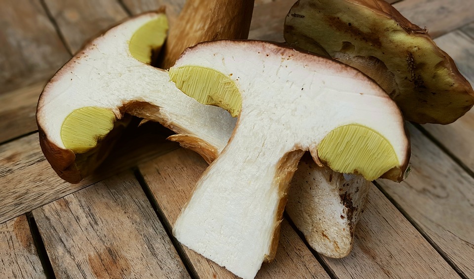 les premiers cèpes sont arrivés au marché de Tarbes les premiers cèpes sont arrivés au marché de Tarbes