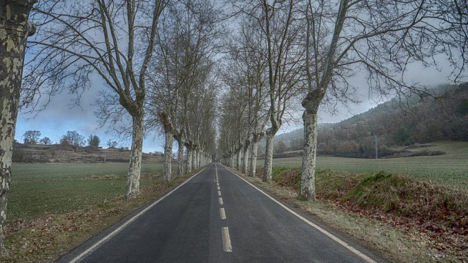Limitation de vitesse à 80 km h vers une adaptation selon la dangerosité des routes Limitation de vitesse à 80 km/h vers une adaptation selon la dangerosité des routes ?