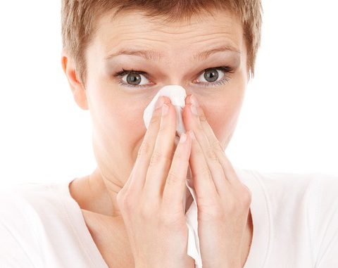 Alerte rouge aux pollens de Graminées à Toulouse et toute la Haute Garonne Alerte rouge aux pollens de Graminées à Toulouse et toute la Haute Garonne