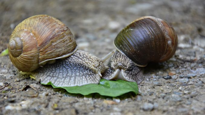 Météo Toulouse, froid et pluies mardi, amélioration mercredi Météo Toulouse, froid et pluies mardi, amélioration mercredi