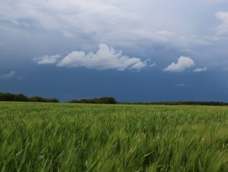 Orages Inondations. la Haute Garonne en alerte vigilance