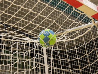 Handball. Le Fenix Toulouse reprendra l'entraînement le 23 juillet à Saint Girons
