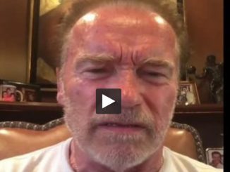 Arnold Schwarzenegger traite Donald Trump de petite nouille molle