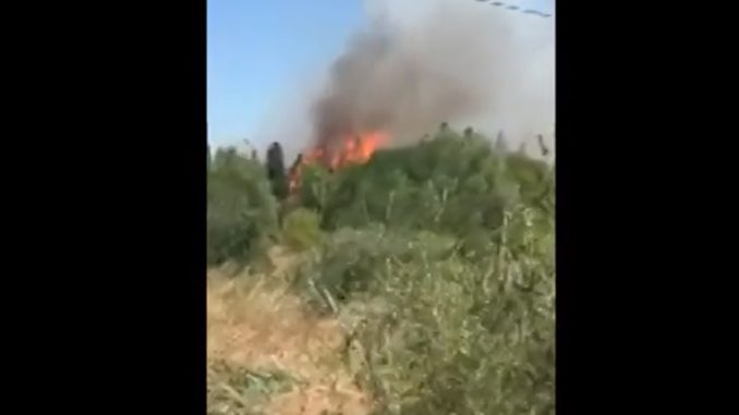 Incendie dans un quartier résidentiel de Narbonne Incendie dans un quartier résidentiel de Narbonne
