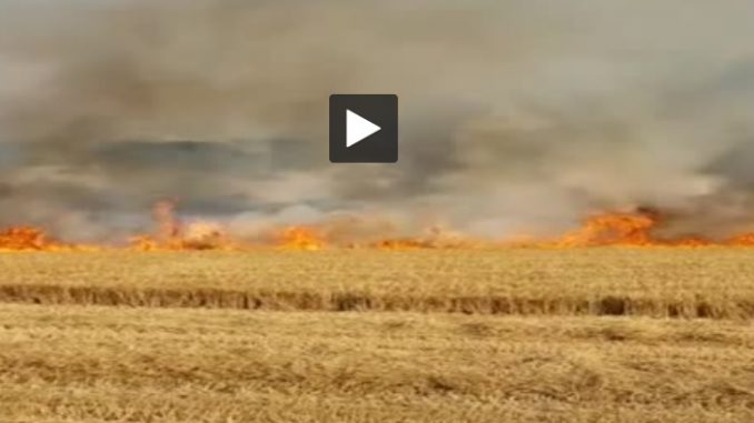 Nord. incendie dans un champ Nord. incendie dans un champ