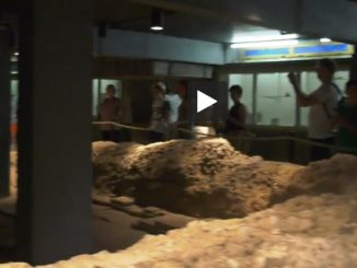 Toulouse. Comment visiter l'extraordinaire piscine romaine nichée dans un immeuble