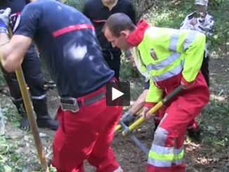 Toulouse. Les pompiers sauvent un chien coincé sous terre depuis 20 heures