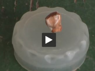 Une dent de 560 000 ans découverte à Tautavel