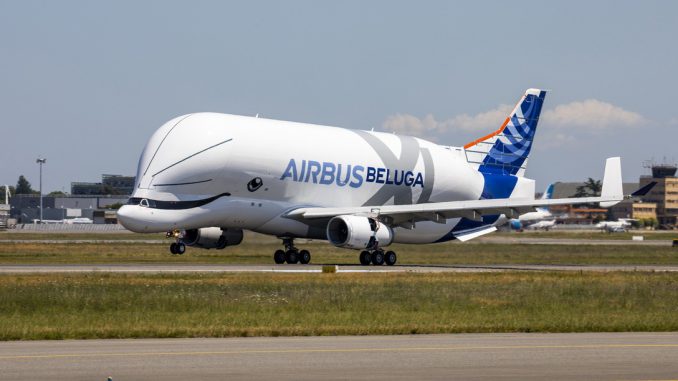 Vidéo - Premier vol pour le Beluga XL, nouveau géant des airs Vidéo - Premier vol pour le Beluga XL, nouveau géant des airs