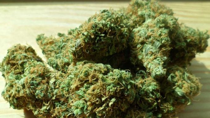 Cocaïne et Cannabis saisies à Toulouse Bellefontaine, 6 personnes en garde à vue Cocaïne et Cannabis saisies à Toulouse Bellefontaine, 6 personnes en garde à vue