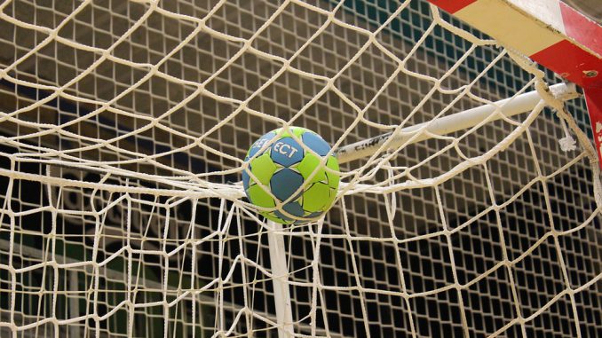 Handball. le Fenix Toulouse logiquement battu par Montpellier Handball. le Fenix Toulouse logiquement battu par Montpellier
