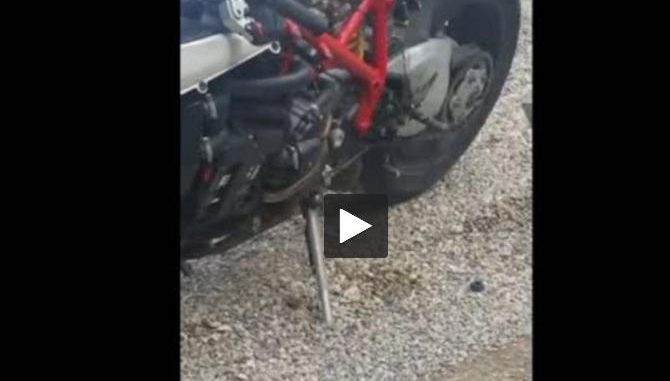 Insolite Vidéo. Un serpent dans le moteur de sa moto Insolite Vidéo. Un serpent dans le moteur de sa moto