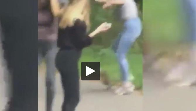 La vidéo qui choque à Compiègne des collégiens massacrent un lapin en forêt La vidéo qui choque à Compiègne des collégiens massacrent un lapin en forêt