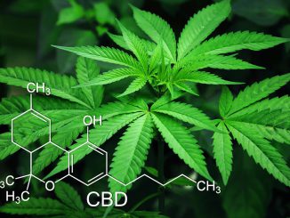 Le cannabis affole la Bourse de New York