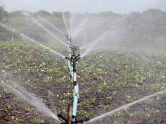 Lot et Garonne, le projet de barrage de Caussade fait polémique