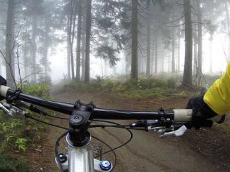 Ariège. un cycliste gravement blessé par un tir de chasseur