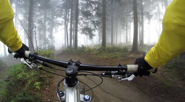 Ariège. un cycliste gravement blessé par un tir de chasseur Ariège. un cycliste gravement blessé par un tir de chasseur