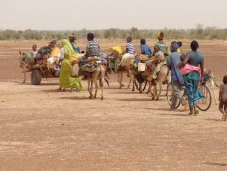 Au moins 80 000 enfants expulsés d'Angola vers la République Démocratique du Congo