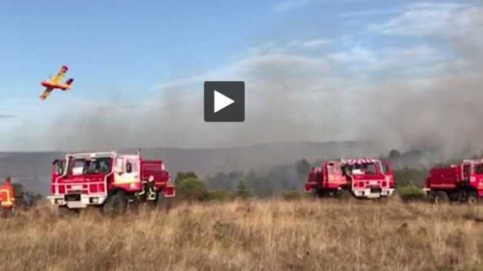 Entre Castres et Mazamet, le violent incendie de mardi a détruit 40 hectares Entre Castres et Mazamet, le violent incendie de mardi a détruit 40 hectares