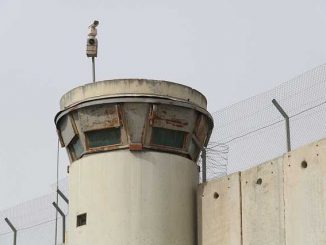 "Gaza est en train d'imploser"
