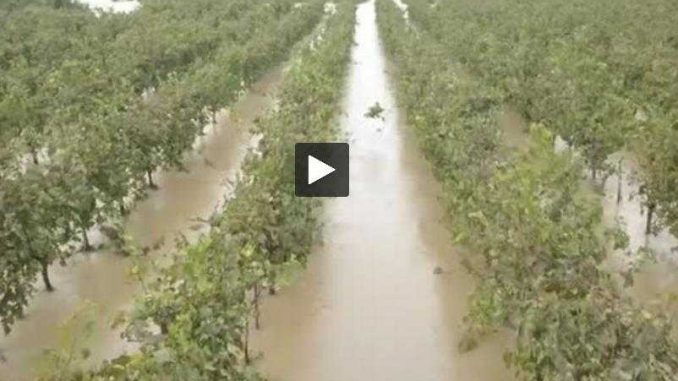 Inondations dans l'Aude. l'économie locale durement touchée Inondations dans l'Aude. l'économie locale durement touchée