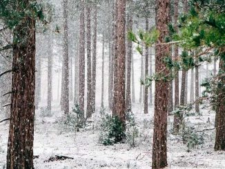 La neige a atteint jusqu'à 50 centimètres