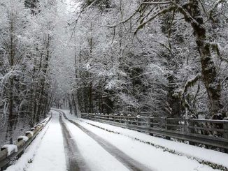 Neige. des difficultés sur les routes du Tarn