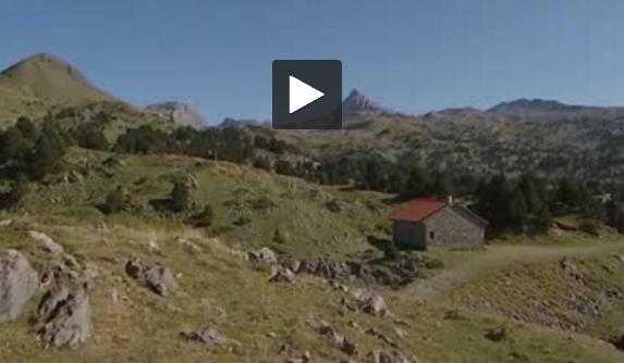 Pyrénées. le retour de l'ours inquiète certains bergers Pyrénées. le retour de l'ours inquiète certains bergers