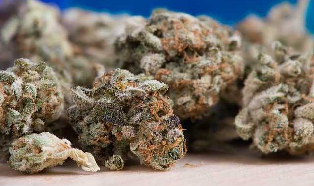 Saisie de 2 tonnes de cannabis à Bourges-Vierzon Saisie de 2 tonnes de cannabis à Bourges-Vierzon